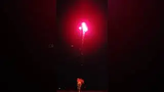 Sivaksi Crackers 2024 Testing 12 Step Skyshot from Liya Fireworks | #Shorts #Diwali2024 #Crackers |