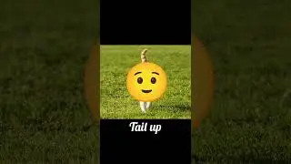 cat bol nahin paati lekin vah expressions karti hai 🐈 #shorts #cat #facts #subscribe #hindi #animal