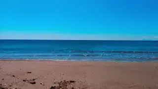 Ska Surf Music  - Tubar&atilde;o na Piscina