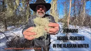 Natural Remedies & Wonders of a Snow Covered Boreal Forest