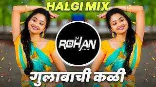 Gulabachi Kali Dj Song | Halgi Mix | गुलाबाची कळी Haldi Marathi Song | DJ Rohan
