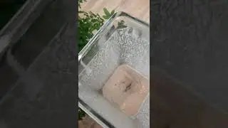 Recette de glace express au beurre de cacahu&egrave;te 🍹🥜⁣