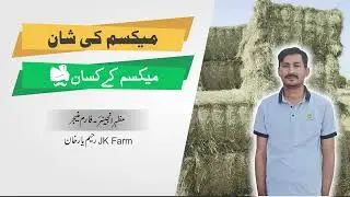 700 Acre Rhodes Grass Farm - JK Agriculture Farm
