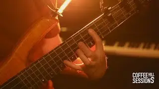 Capo Solo Bass 
