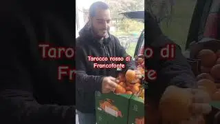 Arance Tarocco rosso di Francofonte #fruit #orangejuice #arance #sicilia #organic #siracusa