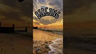 Basking in reflected glory (BIRGing)