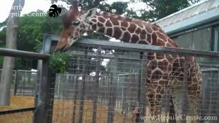Whipsnade Zoo