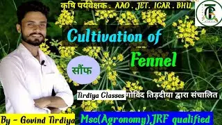 Fennel crop production/ सौंफ की खेती /Tirdiya Classes