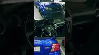 subies