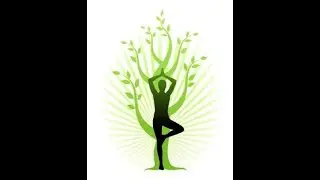 Modified Vinyasa flow yoga  part 1
