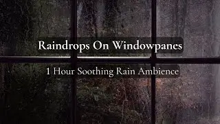 Raindrops on Windowpanes | 1 Hour Soothing Rain Ambience for Sleep & Relaxation