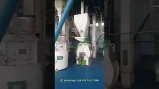 Crushing and mixing system - Indonesia 2T/H Shrimp Feed Plant Project
