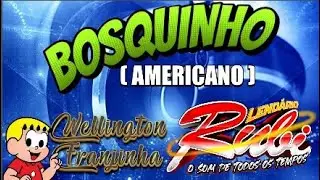 🎧 DJ WELLINGTON FRANJINHA - LEND&Aacute;RIO RUBI NO BOSQUINHO EM AMERICADO (29-11-25)