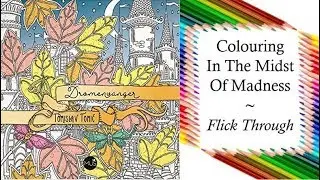 Dromenvanger by Tomislav Tomic | Colouring Book Flick Through