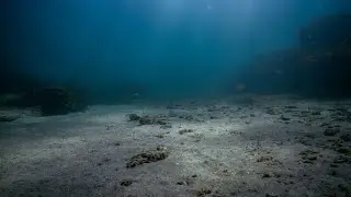 The ocean&rsquo;s nutrients are the &lsquo;building block&rsquo; of the marine ecosystem
