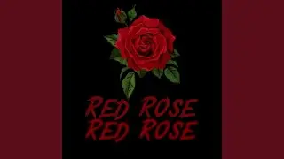 Red Rose