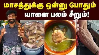 ஒரு தடவை சாப்பிட்டு பாருங்க உடம்பே இரும்பா மாறும்🔥🔥|  எலும்புகளுக்கு மிகவும் அவசியம் 🤩🤩