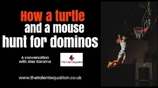 How a turtle and a mouse become expert hunters of dominos - a conversation with Alex Sarama