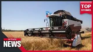 Rise in wheat prices and raw material costs fuels stagflation worries
