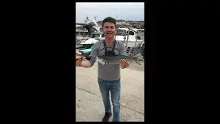 İZMİR KIYIDAN KOFANA AVI PART2 ve ANSIZIN GELEN DEV BARAKÜDA BALIĞI