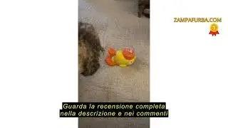 Recensione del Vibbang Duck Shaped Dog Treat Dispenser,Interactive Pet Automatic Feeder Toy,Duck Tre