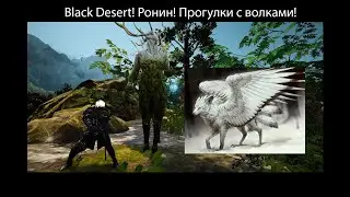 Black Desert! Ронин! Прогулки с волками (луг Наван)