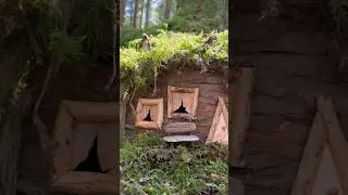 A small compilation of some of my favorite projects. Do you have a favorite?