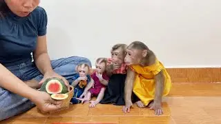 Ronaldo,Selena,Linda & Chichi Curious Sit Star For Theirs Most Fav Sweet Melon