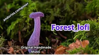 Forest lofi for forest levels!
