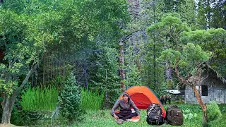 Coldest Solo Camping In Forest In Gujarat |Solo Camping In India |