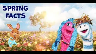 Spring Facts for Elementary Kids | Vernal Equinox | Spring Celebrations Nowruz | Holi