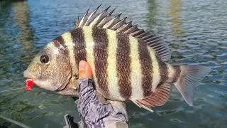 This New Jig Design Makes Sheepshead Fishing Easier