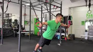JG Chest Fly