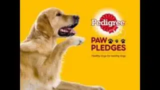 Pedigree Paw Pledges