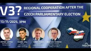 V3? - Regional Cooperation After the Czech Parliamentary Election