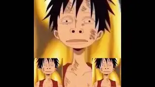 damn plok