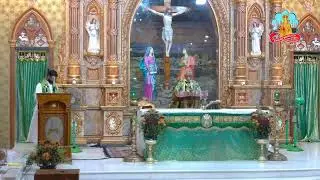 🔴 Live @ Vailankanni Shrine Basilica