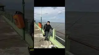 Pesca club pejerrey quilmes