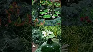 Wonderful Thread Garden || Ooty || World Record | Tamil Nadu | Antony Joseph | flowers