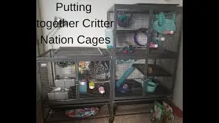 Putting Critter Nation Cages Together (READ DESCRIPTION)