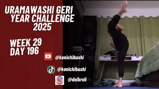 Week 29 Day 196 Uramawashi Geri Year Challenge 2025