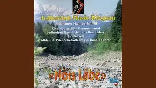 Gibel-Jutz