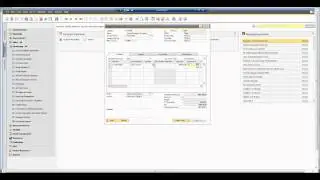 SAP Business One 9.1 - Batch and Serial Inventory Cost Valuation