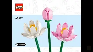 LEGO Seasonal 40647 - Complete Lotus Flowers Instructions! (Step-by-Step Guide)