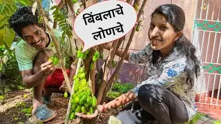 बिंबलाचे लोणचे | Bimli Pickle | Bimlache Lonche |  l Goan Couple