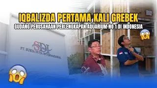 IQBALIZDA PERTAMA KALI GREBEK GUDANG PERUSAHAAN PERLENGKAPAN AQUARIUM NO 1 DI INDONESIA!!!