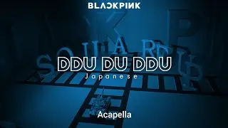 BLACK PINK 