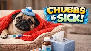 Feeling Unwell? Chubbs Learns to Rest & Heal🐶💖#story #youtubestories #trending #viral #ai #pug #dog