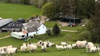 MEAT from ARGYLL