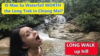 IS Mae Sa Waterfall WORTH the Long Trek in Chiang Mai
